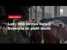 VIDEO. Lait : 800 fermes livrant Savencia en plein doute