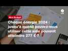 VIDEO. Chèque énergie 2024 : jusqu'à quand pouvez-vous utiliser cette aide pouvant atteindre 277 ¬ ?