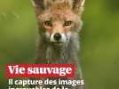 Vidéos. « Chasseur » d'images de la faune sauvage, il dévoile son nouveau film réalisé en Dordogne