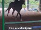 Le hunter, l'épreuve d'équitation qui fait fureur