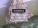 Un refuge de tortue laissé à l'abandon