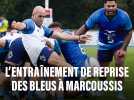 Les images de l'entraînement des Bleus à Marcoussis ce mardi 29 octobre