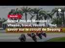 VIDÉO. MotoGP. Grand Prix de Malaisie : vitesse, tracé, record... Tout savoir sur le circuit de Sepang