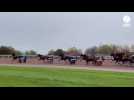 VIDÉO. À l'hippodrome de Laval, on a suivi les grands prix de la Toussaint au plus près de la piste