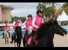 Au Mondial du Lion, les chevaux islandais ont fait le show