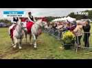 VIDÉO. A l'Arche de la nature, la fête du percheron continue d'attirer le public