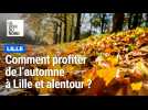 Comment profiter de l'automne à Lille et alentour ?