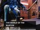 The World of Tim Burton - Plongée dans l'univers créatif du réalisateur