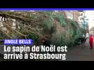 Strasbourg : le sapin de Noël installé place Kléber