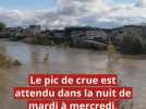 Vidéo - Après avoir été écrêtée de moitié par le barrage de Villerest, la crue de Loire traverse le Loiret