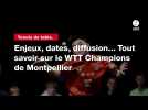 VIDÉO. Tennis de table. Enjeux, dates, diffusion... Tout savoir sur le WTT Champions de Montpellier