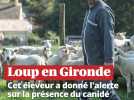 VIDÉO. Cet éleveur a donné l'alerte sur la présence du loup en Gironde