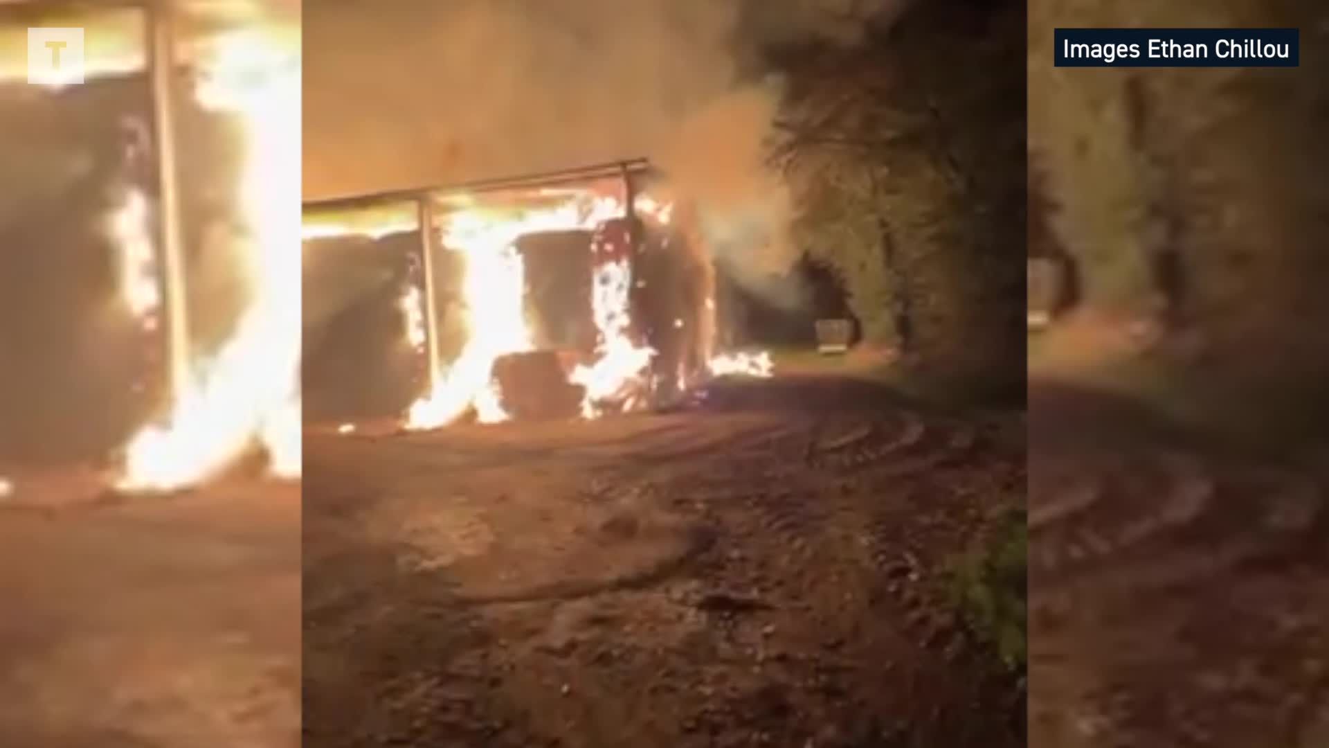 « Sans eux, elles seraient mortes » : quatre jeunes ont sauvé 60 vaches d'un incendie à Plouër-sur-Rance