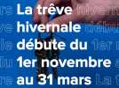 La trêve hivernale débute du 1er novembre au 31 mars