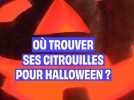 Où trouver ses citrouilles pour Halloween ?