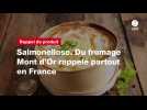 VIDÉO. Salmonellose. Du fromage Mont d'Or rappelé partout en France