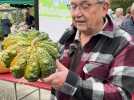 Géantes ou affreuses, à Pavie on fête la citrouille sous toutes ses formes