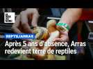 Après cinq ans d'absence, le retour des reptiles à Arras