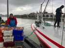 VIDÉO. Ouverture de la pêche à la saint-jacques : les premiers bateaux de retour à Trouville