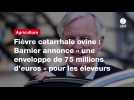 VIDÉO. Fièvre catarrhale ovine : Barnier annonce « une enveloppe de 75 millions d'euros 