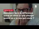 VIDÉO. Comment faire la différence entre un virus et une allergie quand on a le nez qui coule ?