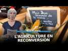 Comment accompagner les agriculteurs en conversion ?