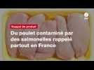 VIDÉO. Du poulet contaminé par des salmonelles rappelé partout en France