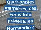 Que sont les marnières, ces trous très présents en Normandie ?