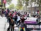 Marche pour les animaux à Perpignan