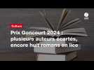 VIDÉO. Prix Goncourt 2024 : plusieurs auteurs écartés, encore huit romans en lice