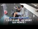 L'escalade, un sport qui grimpe !