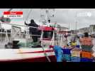 VIDÉO. Ouverture de la pêche à la coquille Saint-Jacques. Les premiers navires de retour à Trouville