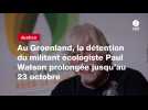 VIDEO. Au Groenland, la détention du militant écologiste Paul Watson prolongée jusqu'au 23 octobre