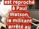 Faits divers - Brigitte Bardot, Hugo Clément et plus de 300.000 personnes demandent la libération de Paul Watson, défenseur des baleines