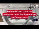 Immersion dans les coulisses de la Station marine de Concarneau