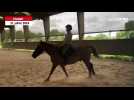 VIDÉO. Régis Moreno, cavalier non-voyant à Yzernay et compétiteur en épreuve de dressage