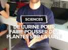 De l'urine pour faire pousser des plantes sur la Lune