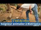 Dans la peau d'un soigneur animalier à Biotropica