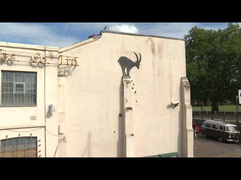 New Banksy mural appears in south-west London