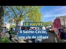 Le Havre. Dans le quartier Sainte Cécile, une vie de village