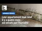 Armentières - Le mur de leur logement neuf de quatre mois ruisselle jusqu'à la chambre de bébé.