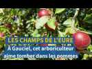 Dans l'Eure, cet arboriculteur tombe tous les jours dans les pommes