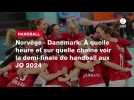 VIDÉO. Norvège - Danemark. À quelle heure et sur quelle chaîne voir la demi-finale de handball aux JO 2024