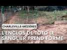 Toto le sanglier : le parc animalier de Charleville-Mézières s'active avant son arrivée