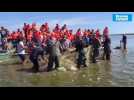 VIDEO. La pêche est bonne au lac de Grand-Lieu