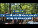 « C'est incroyable tout ce monde » : près de Rouen, l'exposition Forêt Monumentale attire les promeneurs