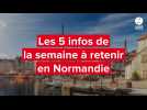 VIDÉO. Requin dans la Manche, accidents en série... Les 5 infos de la semaine à retenir en Normandie