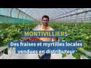 A Montivilliers, la ferme de la Montade produit fraises et myrtilles vendues en distributeur