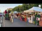 VIDÉO. Un jour de marché, à Bayeux, avec la jument Victoire