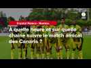 VIDÉO. Crystal Palace - Nantes. À quelle heure et sur quelle chaîne suivre le match amical des Canaris ?